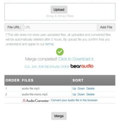 bear file audio to text converter