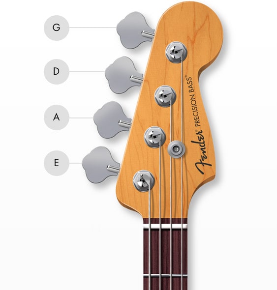 Fender Bass Guitar Tuner