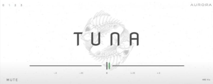 Tuna - Guitar Tuner VST Plugin