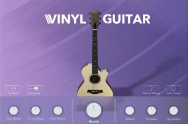Vinyl Guitar 2