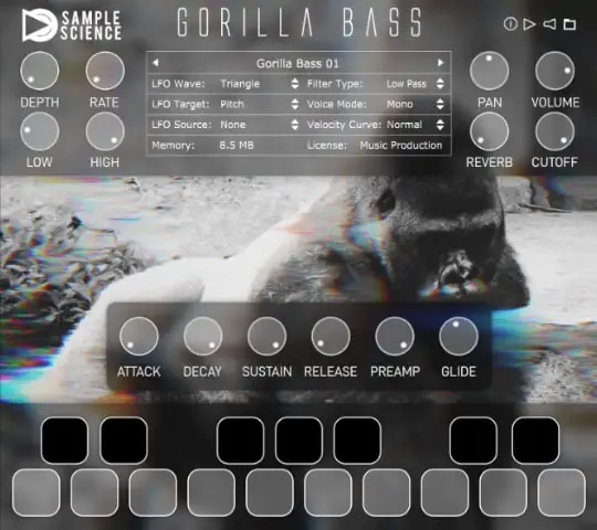 Gorilla Bass