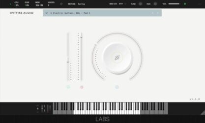 Labs Electric Guitars