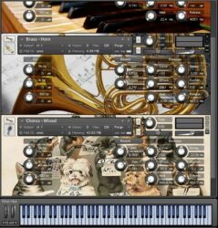 Sonatina Symphony Orchestra