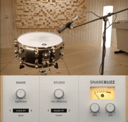 Snare Buzz