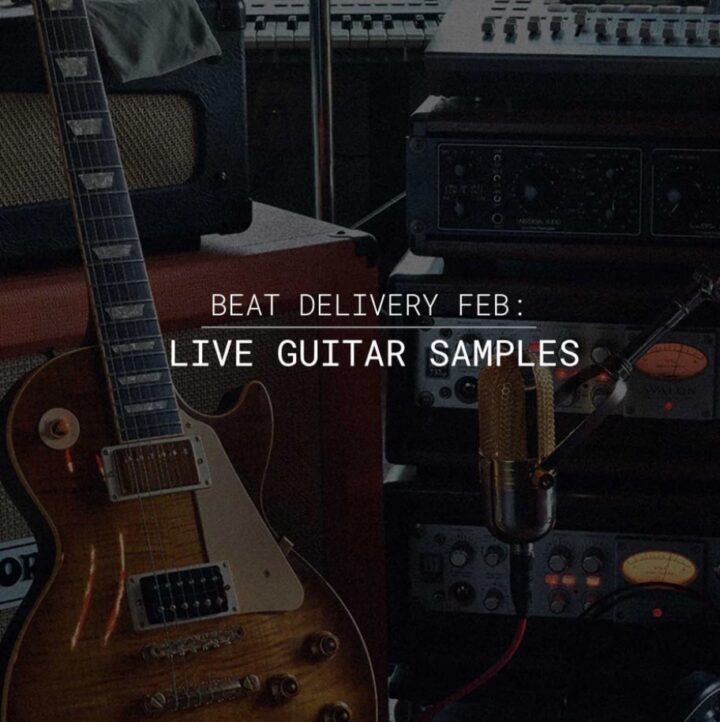 Beat Delivery February Live Guitar Samples