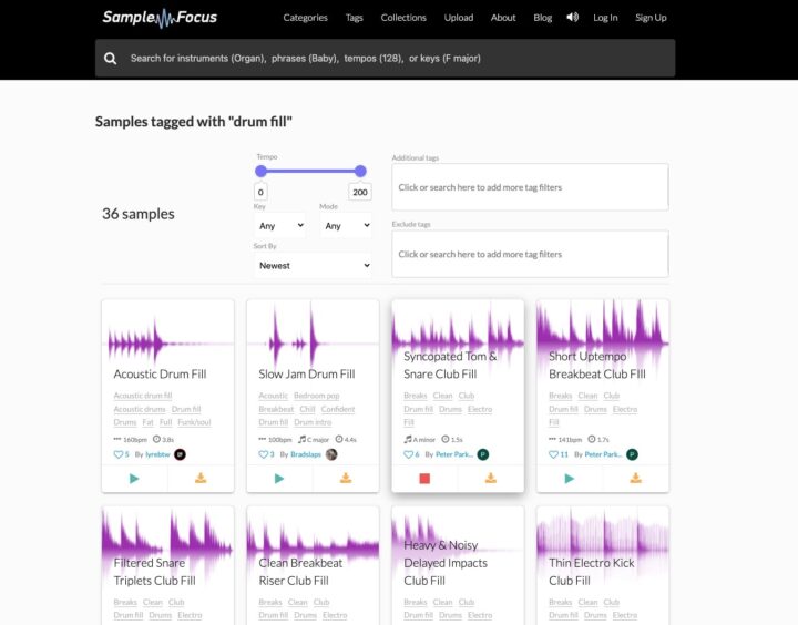 Sample Focus Free Drum Fills